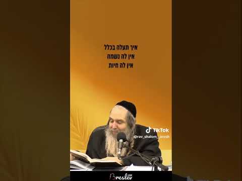 תמיד אומר תודה בתפילה