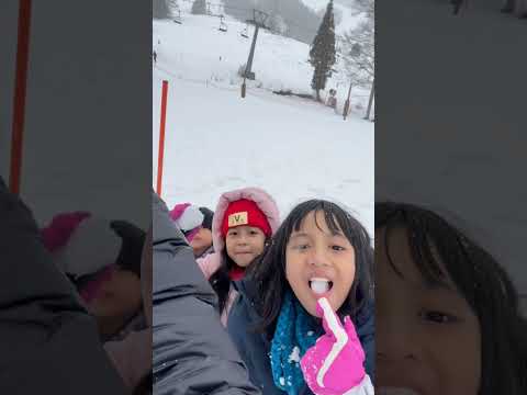 Desta MAKAN SALJU di jepang