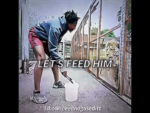 Ishowspeed feeds lions *The ending is crazy* #ishowspeed #lions #edit