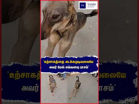 'உற்சாகத்தை அடக்கமுடியலையே அவர் மேல் எவ்வளவு பாசம்' #<strong>Dog</strong> #Dogs #Pets #Petanimals #animallover #<strong>viral</strong>