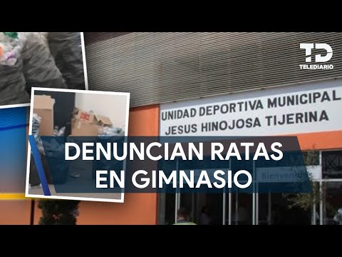 Denuncian presencia de ratas en gimnasio en el centro de Monterrey