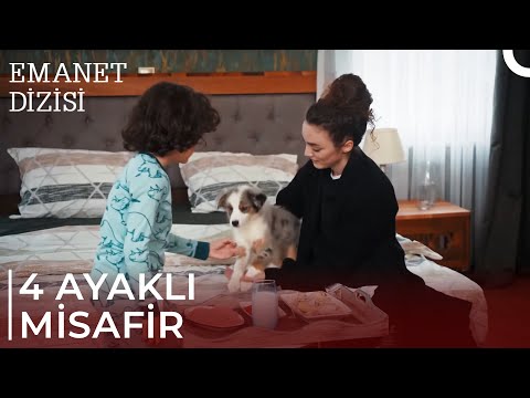 Yusuf ve Nana Köpüş'ü Besledi 🥰 | Emanet 470. Bölüm @EmanetDizisi​