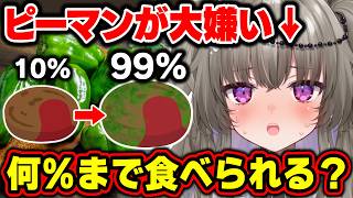 【吐いたら即終了】大嫌いなピーマン、ハンバーグに混ぜたら何%まで食べられる？ギリギリチキンハンバーグ！【Vtuber/冥鳴ひまり】