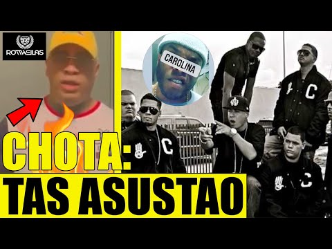 ADVIERTEN A PACHO EL ANTIFEKA Y LE MANDAN CALIENTE ``SANTACOS´´ NEGRO HABLA