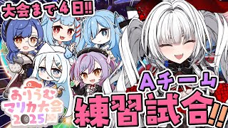 【 #ありうむマリカ大会2025 】本番まであと4日!! チーム戦 練習試合!! Aチームのみんなとれんしうだ~!!【セレナーデ・オックスブ