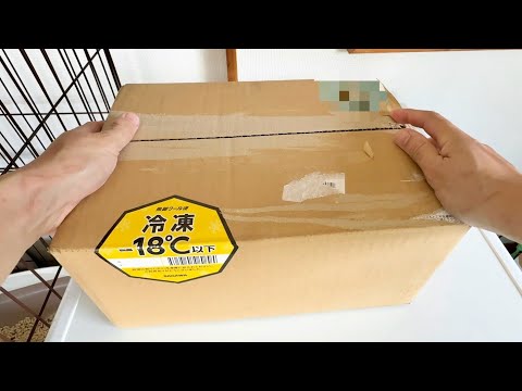 【ブリーダー必見】飼育歴2年、真似しただけで繁殖が成功した秘蔵アイテムを紹介します