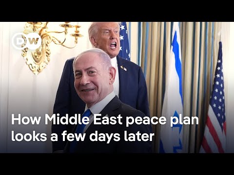 What Hamas's response to the peace plan might be | DW News