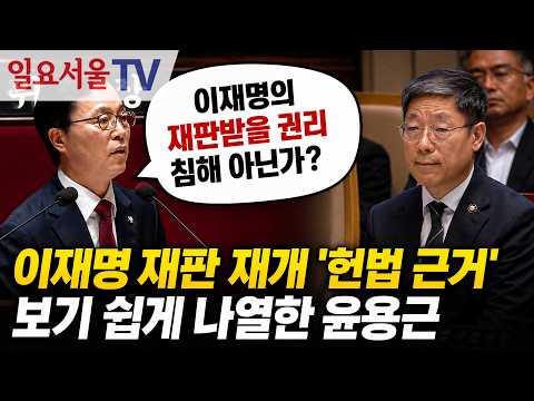 이재명 재판 재개 '<strong>헌법</strong> 근거' 보기 쉽게 나열한 윤용근