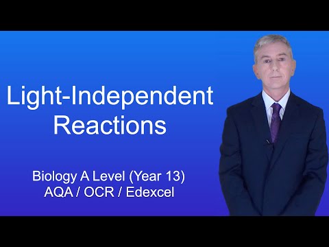 A Level Biology Revision (Year 13) “The Light-Independent Reactions”