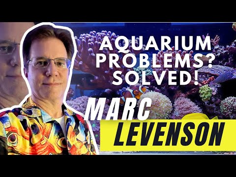 Tips after 30 YEARS of Reef Keeping - Marc Levenso 🛑 👉Find out when our next event is!  ➡️ Aquashella Tickets_ https_//bit.ly/3oG2Dd6

The Aq