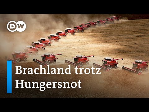 Warum will Deutschland trotz Hungerkrise Äcker stilllegen? | DW Nachrichten