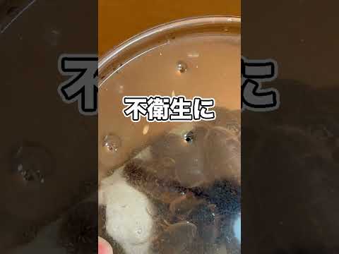 エサ用のゴキブリが大変なことになってしまいました…