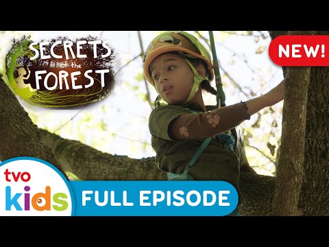 Tree Doctors 🌳🩺 SECRETS OF THE FOREST - Season 1 Full Episode | TVOkids