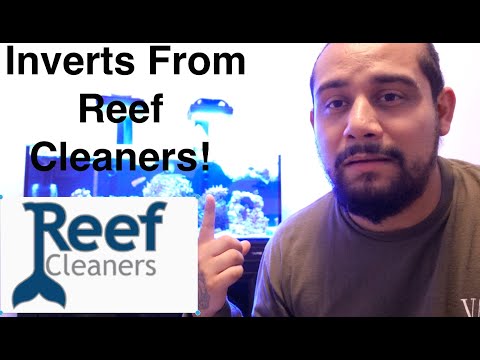 Unboxing Inverts From Reef Cleaners 4 My 2 Lagoon  Check out the new snails for my 2 lagoon tanks!

Get 10% off for your new Aquarium Cover/Lid from Kr