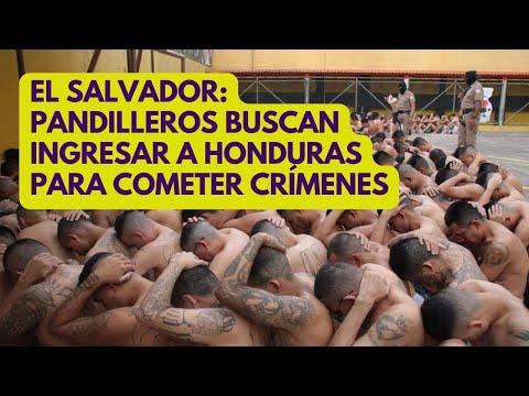 EL SALVADOR: pandilleros buscan ingresar a Honduras para cometer crímenes