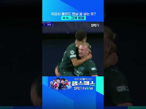 12G 연속 득점 신고한 홀란드 