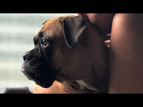 A Cinematic Day of my Life