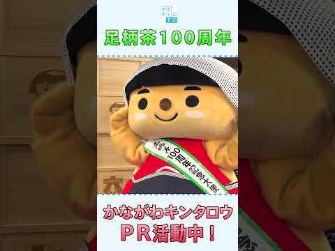 【ショート】「足柄茶100周年」（手話あり）