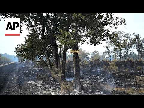 AP reporter shows what's left of a forest as France battles wildfires