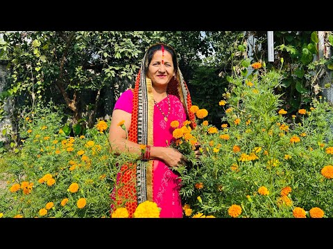 शिव जी का सुपर हिट भजन 2025 🌹🙏	🔱 कलियुग में शिव युग आया | भोले बाबा का अद्भुत भजन