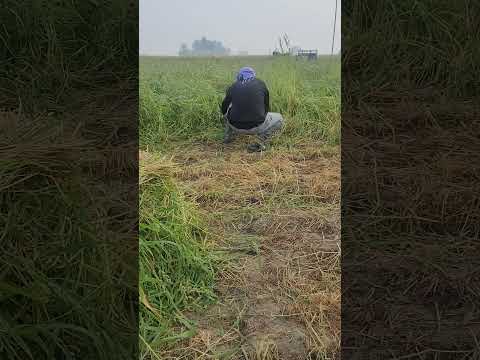 खेती करना कितना मुश्किल होता है और कितना दुविधा में होता है देखो?