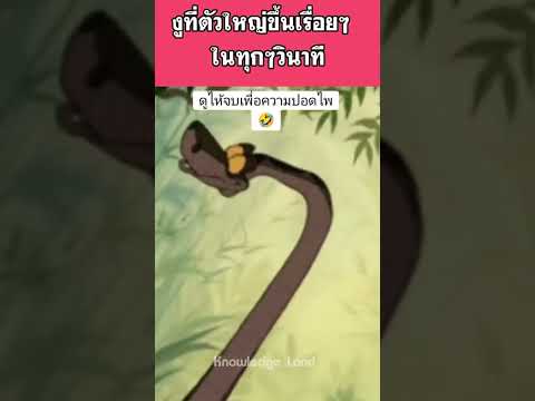 งูที่โตไวที่สุดในโลก