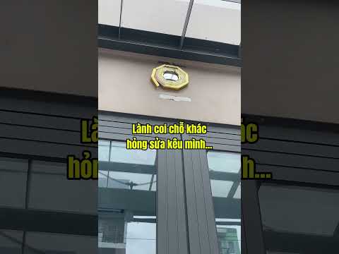 Cần xử lý cẩn thận khi đồ phong thủy bị hỏng #bactan #phongthuy