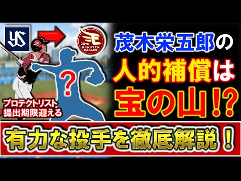 【ついにプロテクトリスト提出期限...！】楽天からヤクルトへ移籍した『茂木栄五郎』の人的補償は宝の山！？プロテクト当落線上と見られる有力な投手を徹底解説！