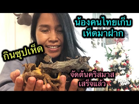 น้องนกคนไทยในหมู่บ้านเก็บเห็ดม