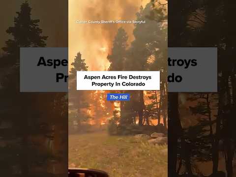 Click to play Video
