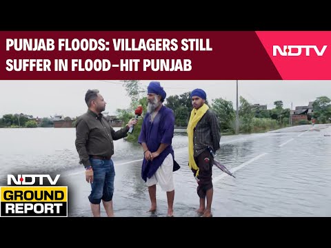 Punjab Flood News | NDTV  Ground Report: Villagers Still Suffer In Flood-Hit Punjab