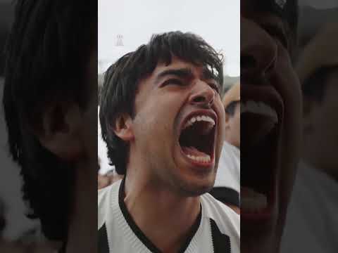 image para ilustrar o artigo