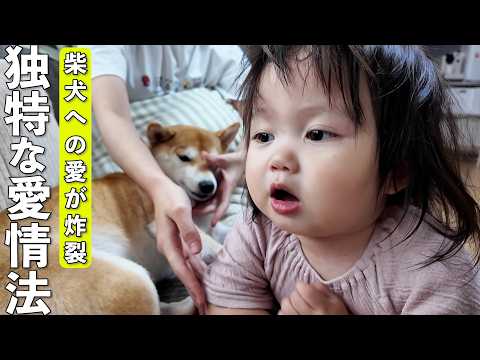 大好きな柴犬に1日中くっついていたい1歳児の独特な愛情表現が可愛すぎましたw