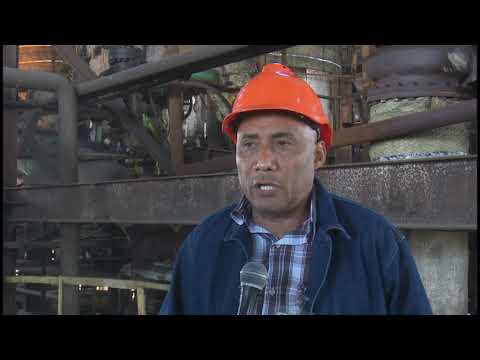 Obreros agroazucareros del Arquímedes Colina laboran en solución a roturas de la industria