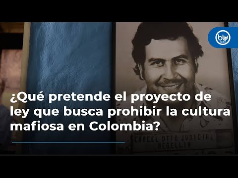 ¿Qué pretende el proyecto de ley que busca prohibir la cultura mafiosa en Colombia?