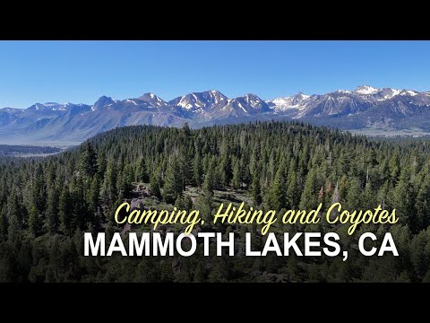 Adventures in Mammoth Lakes, California!  |  Camping, Hiking, and a trip to Woolly’s Adventure Park