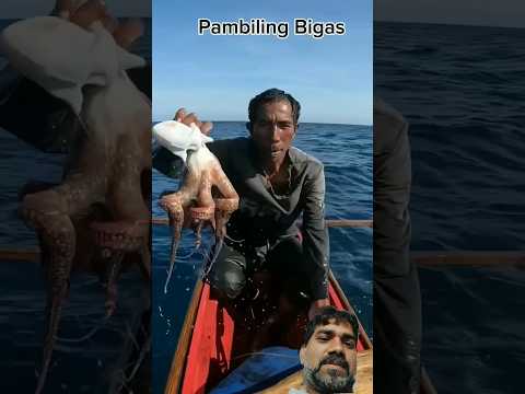 Publigim #fishing #trending #shortsfeed #fish #cartoon #viral #shark #viral