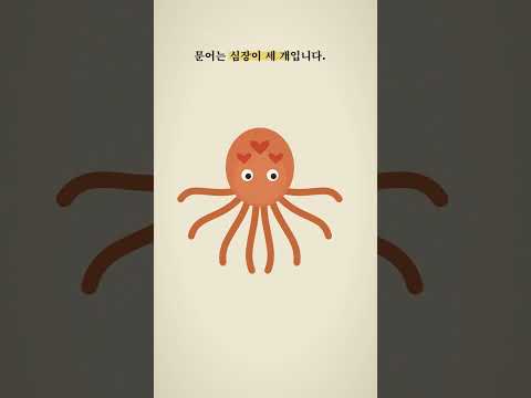 문어 = 1.5 <strong>박지성</strong>