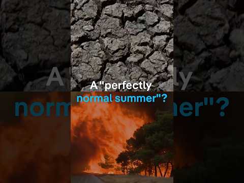 No, this wasn't a 'perfectly normal summer' | DW News