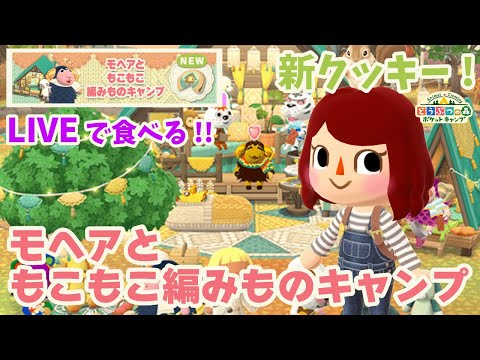 【ポケ森/生放送】ライブで食べるよ！新クッキー「モヘアともこもこ編みものキャンプ」【どうぶつの森ポケットキャンプ】