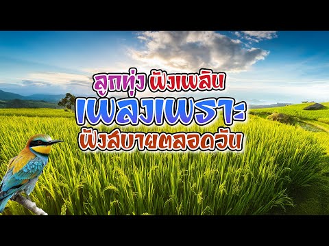 รวมเพลงลูกทุ่งสุดเพราะฟังสบาย