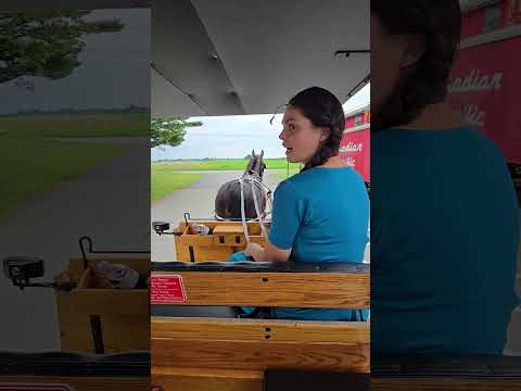 Buggy ride in Amish country.