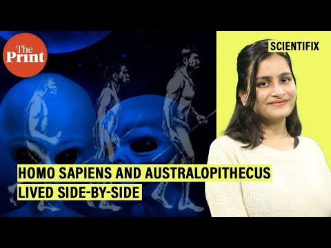 New fossils show Homo sapiens and Australopithecus lived side-by-side in Ethiopia