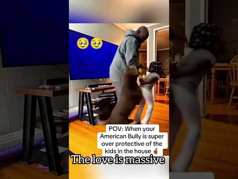 These dogs can go as any extent to save this babies