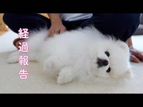 【経過報告】治療を始めて１ヶ月が経ちました
