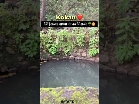 विहिरीच्या पाण्याची चव निराळी 🌴कोकण #kokan#vihir#nature#water#konkanpremi#viral#shorts