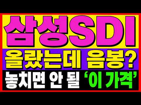 [삼성SDI 주가전망] 높게 출발하고도 밀린 음봉의 함정, "이 자리"를 봐야 합니다.