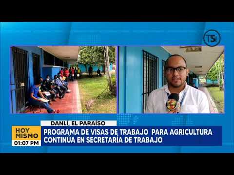 Anuncian visas de trabajo en agricultura para hondureños en septiembre