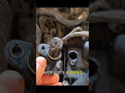 시동 안 걸리면 여기부터 🔧