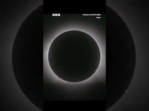 Best moments from the total solar eclipse in North America. #Shorts #Eclipse #BBCNews